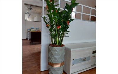 大大湧進