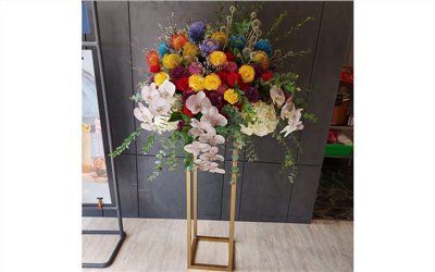繽紛花園 