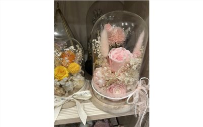 粉公主