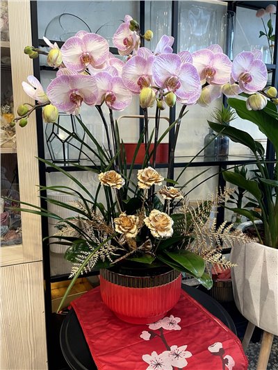 金貴花錦又填福